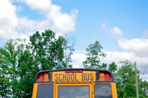 school bus near green trees under cloudy sky during daytime